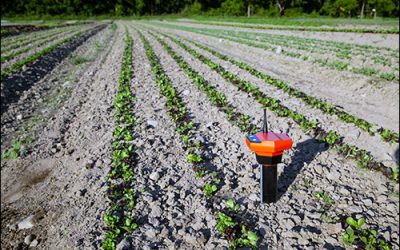 LoRa Solution Offers Wireless View Into Soil Health