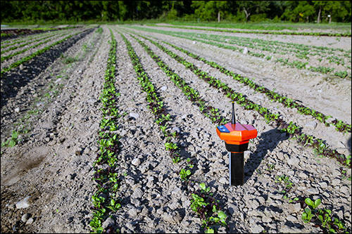 LoRa Solution Offers Wireless View Into Soil Health