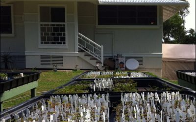Forestry Company Expands RFID Deployment