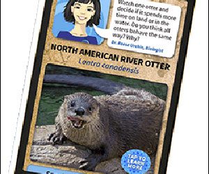 Tennessee Aquarium Uses Beacons to Engage Visitors