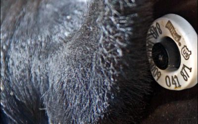 Health-Care Labs Get Healthier