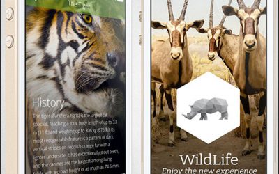 Harvard Museum, Remy Martin and Tulip Theme Park Adopt LabWerk’s Beacon Solution