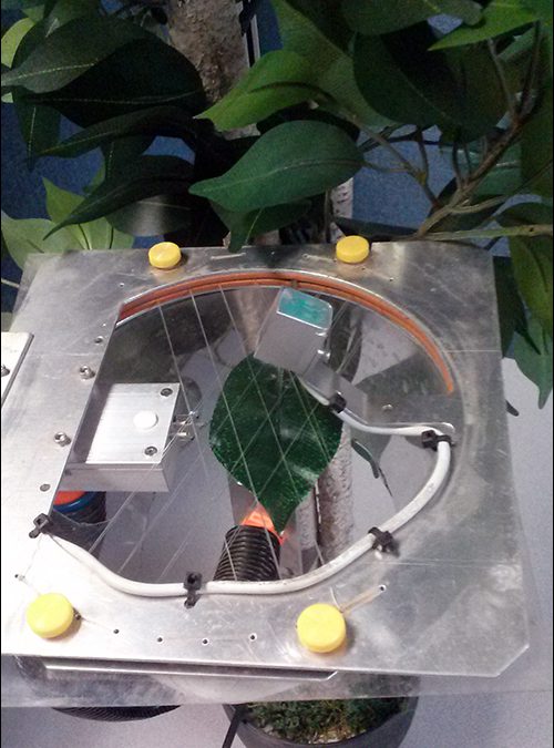 A New Leaf for Precision Farming