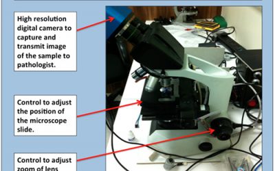 Internet of Things May Help Agencies Respond to Zika