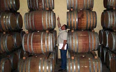 Wine and Brandy Maker in High Spirits Over RFID