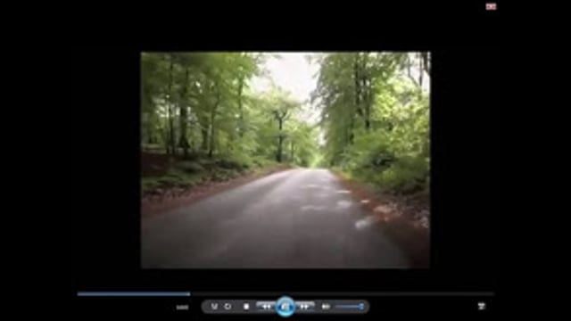 Featured Image