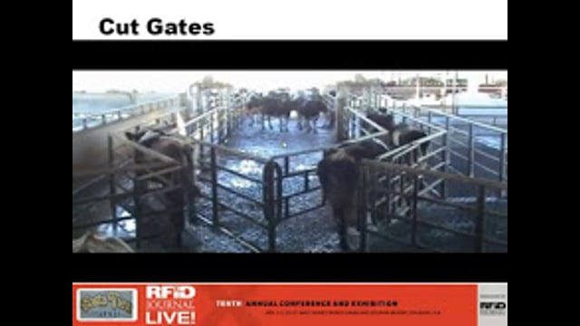 Using RFID to Identify and Track Livestock