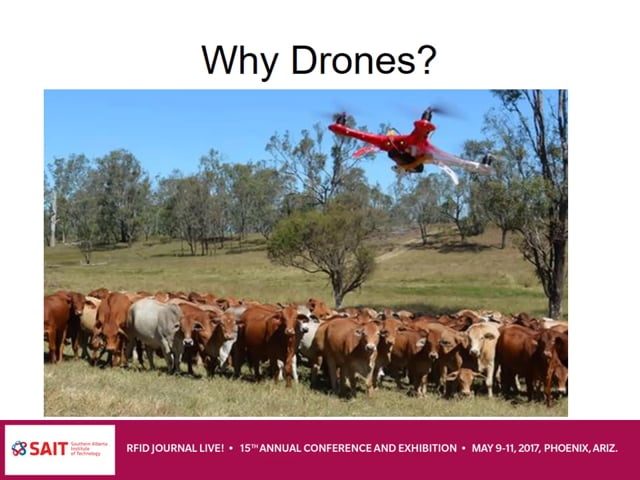 Precision Ranching: Using Drones to Manage a Herd of Cattle