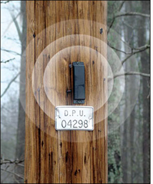 RFID Speeds Up Electric Pole Inspections
