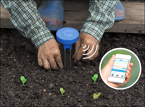 Wide Rollout of IoT Soil-Moisture Sensors in the Works