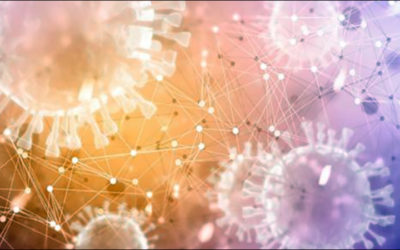 Wi-Fi System Employed by DHS Tracks People Location and Traffic