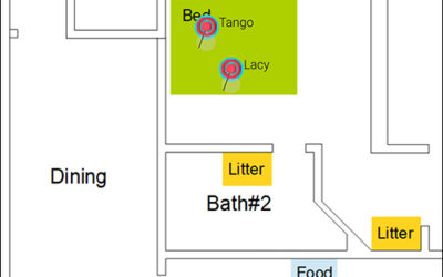 UWB Enters Home With System That Tracks Pets, People and Things