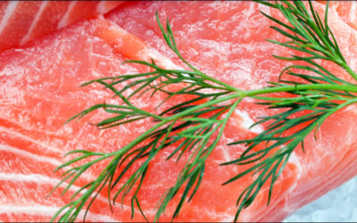 Automated System Aids Communication in Seafood Supply Chain