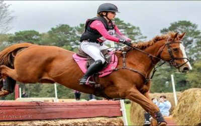 Wearable Sensor Tracks Horse Health via Wireless Charging, BLE