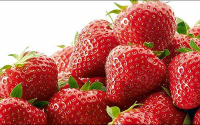 Strawberries Managed from Grower to Store via RFID, QR Codes