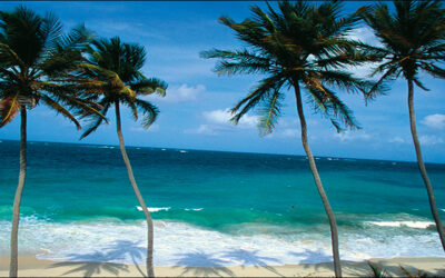 Barbados Cleans Up With RFID