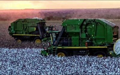 ID-Cotton, AG Surveyors Boost Brazilian Cotton Quality