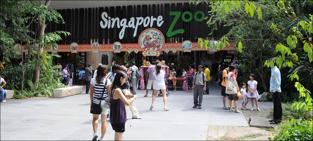 Singapore Zoo Reduces Energy Consumption with LoRa Technology