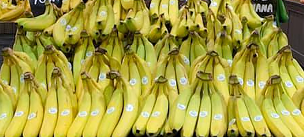 IoT and RFID Manage Banana Farm, Supply Chain