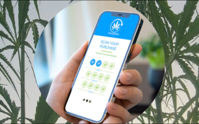 Technology Companies Partner for Cannabis Track and Trace