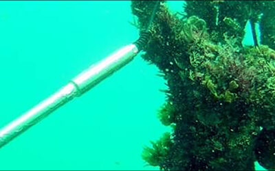 LoRaWAN Monitors Seawater Quality in Mauritius