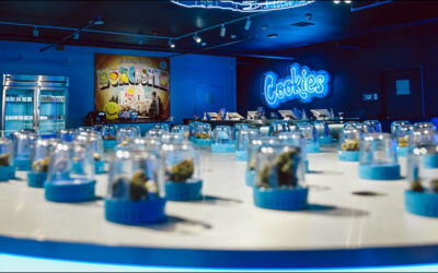 Cannabis Retailers Add RFID, Other In-Store Tech