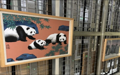 Taiwan Museum Pilots UHF RFID System for Stored Art