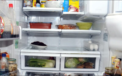 SATO Proof-of-Concept Brings BLE Visibility into Home Refrigerators