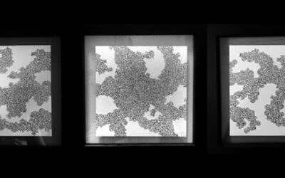 RFID Authenticates Art in Social Connection Project