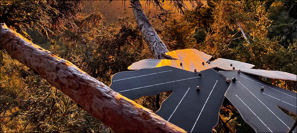 Detecting the Sound of Illegal Logging via IoT