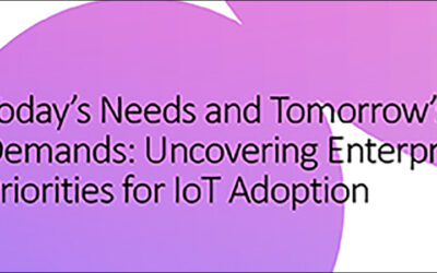 WHITE PAPER: Uncovering Enterprise Priorities for IoT Adoption