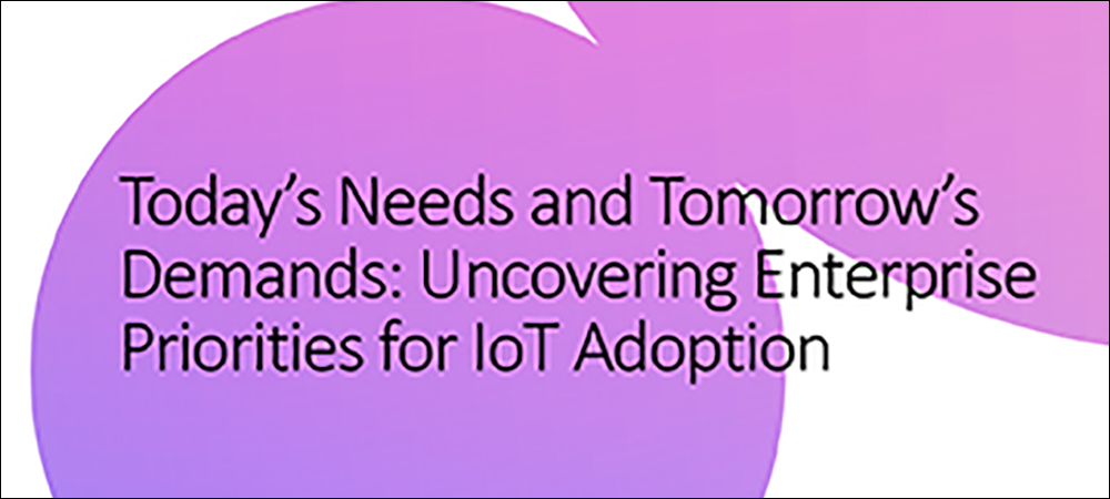 WHITE PAPER: Uncovering Enterprise Priorities for IoT Adoption