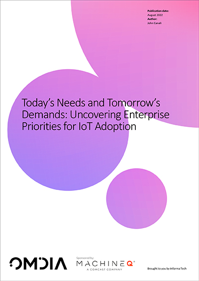 Today's Needs and Tomorrow's Demands: Uncovering Enterprise Priorities for IoT Adoption