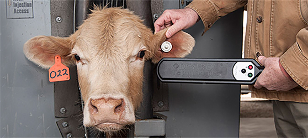 USDA’s APHIS Plans Revisions to Electronic Animal IDs