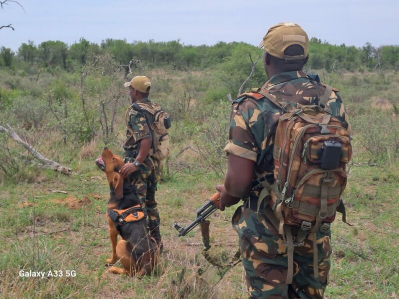 Madikwe Game Reserve Connected Conservation Foundation (CCF)