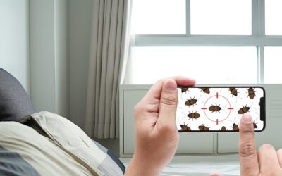 IoT Detects Bedbugs in Hotels