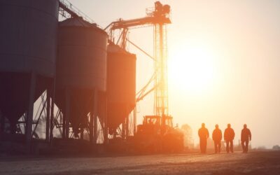 Soracom’s IoT Connectivity Powers Livestock Feed Solutions