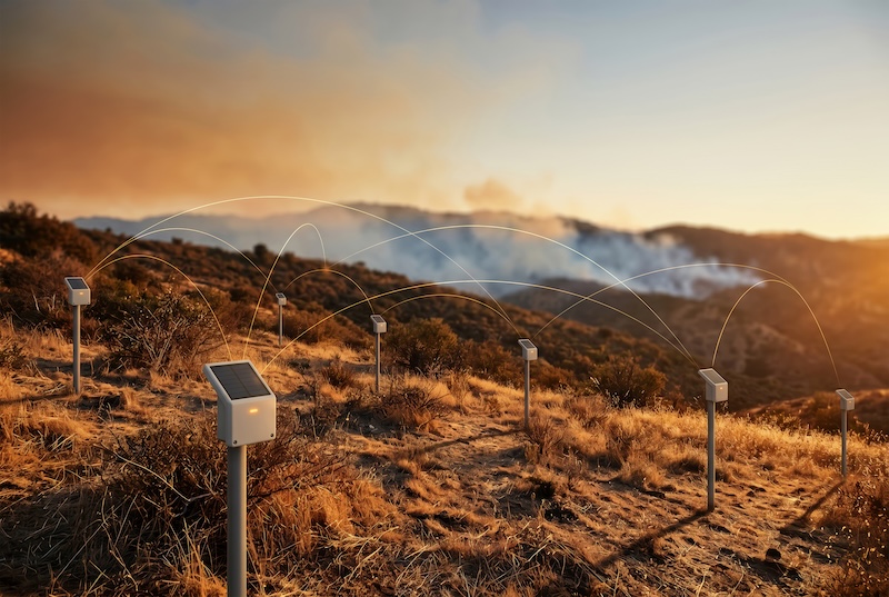 How RFID Is Being Used for Wildfire Management